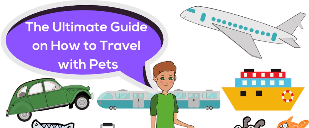 The Ultimate Guide on How to Travel with Pets